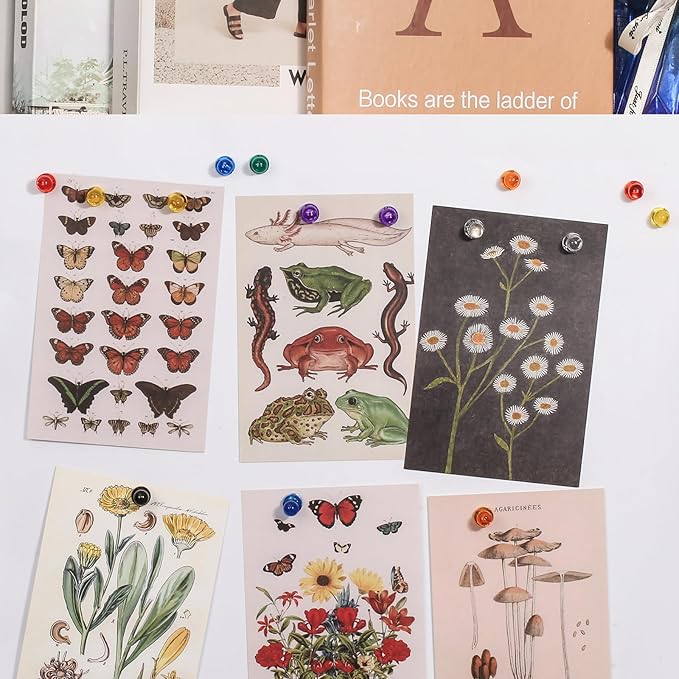 60PCS Colorful Strong Magnetic Push Pin Magnets, 6 Assorted Color for Office, Classroom, Kitchen Home and School, Map Magnets, Whiteboard Magnet