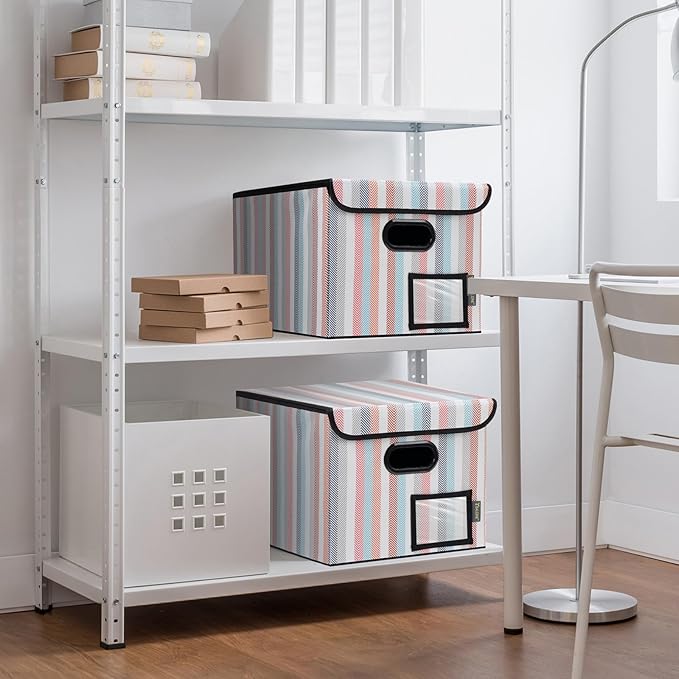 BALEINE File Organizer Box with Lid, Collapsible File Folder Organizer with Plastic Slide, Hanging File Folder Box for Office Document Storage (2 Pack, Color Stripe)