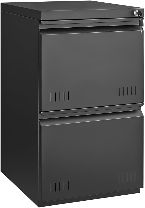 2 Drawer File Cabinets for Home Office, Vertical File Cabinet with Lock, Printer Stand, Office Storage Cabinet for A4/Letter/Legal Size, Under Desk Filing Cabinet, Assembly Required(Black)