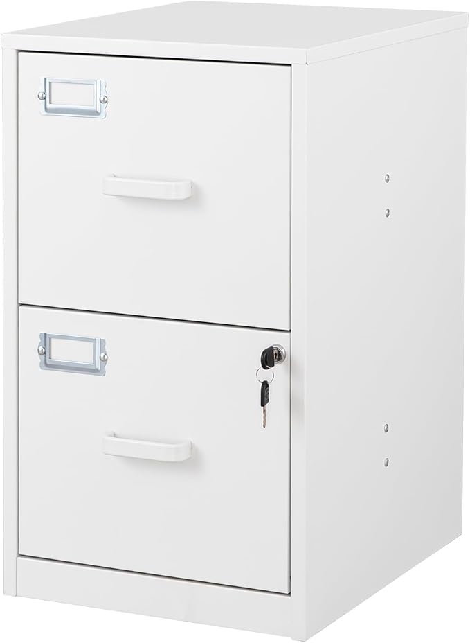 2 Drawer File Cabinet with Lock Vertical Filing Storage Office Home Steel Vertical File Cabinets for Letter Size File Cabinet Locked,Assembly Required