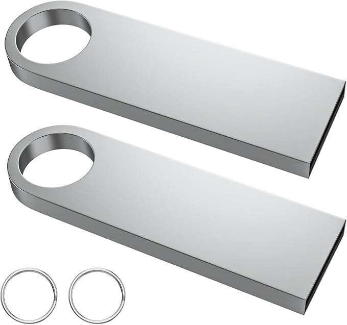ABLAZE 2GB Flash Drive 2 Pack, Metal USB 2.0 Thumb Drives with Keychains USB Stick Pendrive (Sliver)
