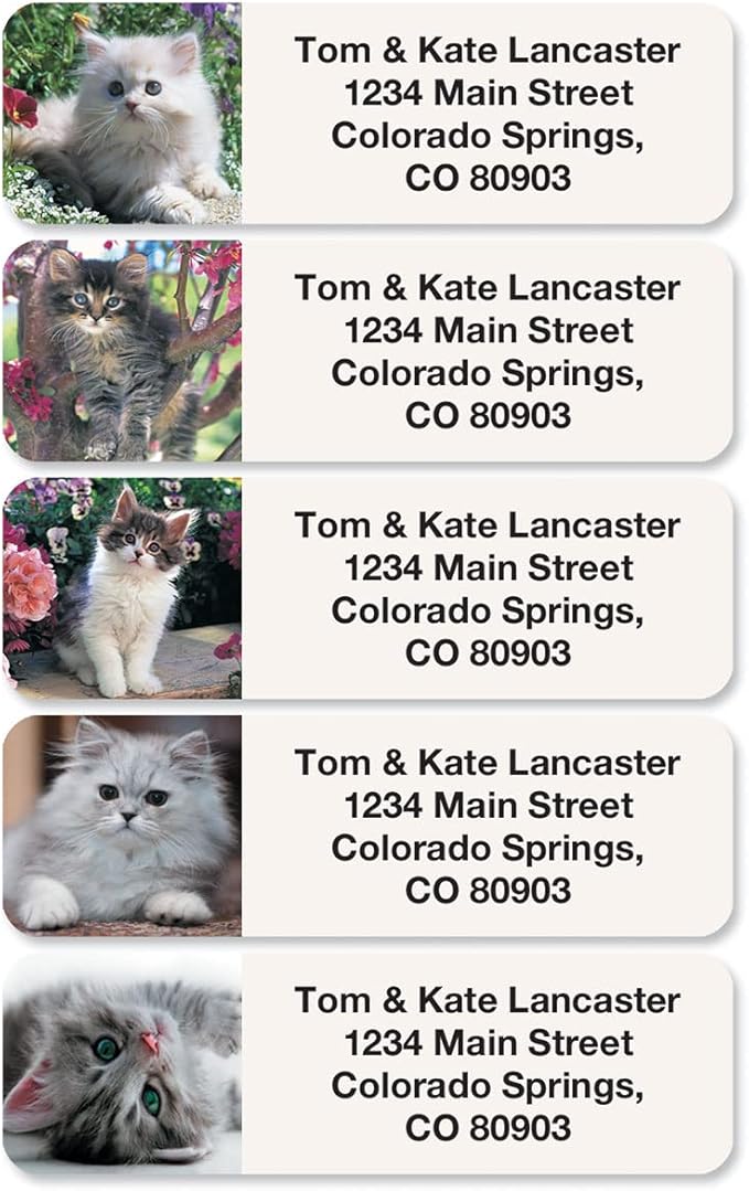 Cute Kittens Rolled Personalized Return Address Mailing Labels with Dispenser, Set of 250, 5 Designs, Small ¾ x 2½ Inch Size, Custom Self-Adhesive Sticker Roll, by Colorful Images