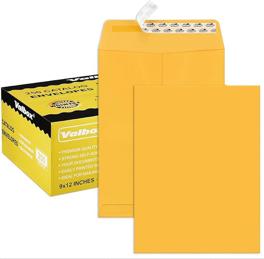ValBox 9x12 Self Seal Security Catalog Envelopes 250 Packs Brown Kraft Envelopes with Peel and Seal Flap for Mailing, Organizing and Storage