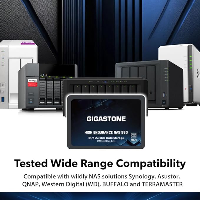 Gigastone 2TB NAS SSD Drive (2-Pack) 24/7 Durable TLC High Endurance RAID Data Storage Network Attached Storage 2.5" SATA Internal Solid State Hard Drives
