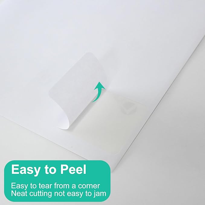 L LIKED 2" x 4" Label Stickers, Printable White 10 per Sheets Total 300 Labels, for Laser/Inkjet Printing - Matte (300 Labels)