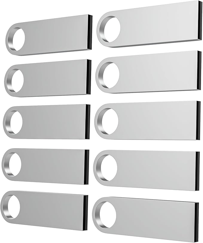ABLAZE 1GB Flash Drive 10 Pack, Metal USB 2.0 Thumb Drives with Keychains USB Sticks Pendrives (Sliver)