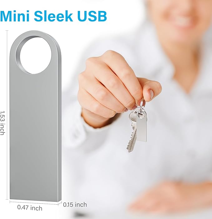 ABLAZE 2GB Flash Drive 20 Pack, Metal USB 2.0 Thumb Drives with Keychains USB Sticks Pendrives (Sliver)