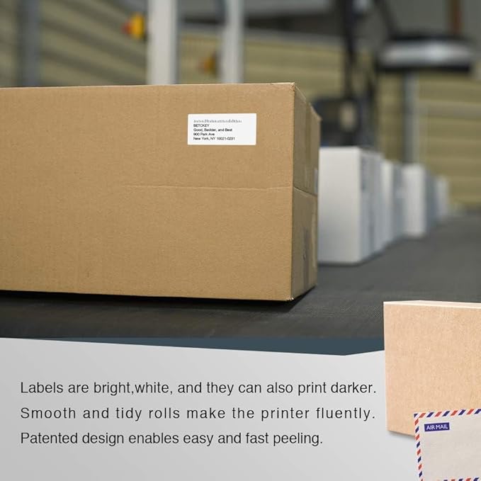 BETCKEY - Compatible DYMO 99019 (2-5/16" x 7-1/2") Large Lever Arch File Labels, Compatible with DYMO Labelwriter 450, 4XL, NOT Fit 550 & 5XL [10 Rolls/1500 Labels]