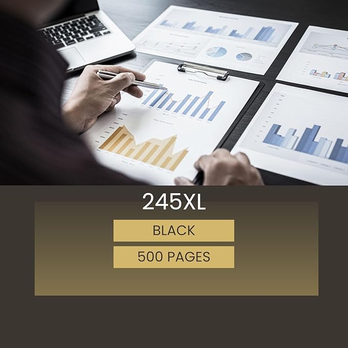 245XL Ink Cartridge Replacement for Canon 245XL Black Ink PG-245 Compatible with Canon Pixma MX490 MX492 MG2522 MG3022 MG2520 TS3100 TS3122 TS3300 TS3322 TR4522 Printer (2 Black Pack)
