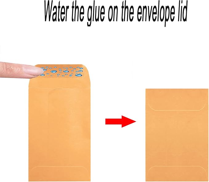 500 Pack #3 Brown coin envelope 2.5 x 4.25 inches Kraft Envelopes Classic Small Parts Envelopes with Self Adhesive Gummed Flap for Coins Cash Credit Cards Seeds