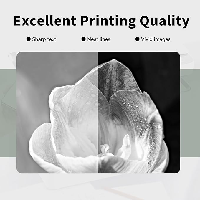 55B1000 Black Toner Cartridges (with chip) High Yield Replacement for Lexmark 55B1000 Cartridge for MS331dn MS431dn MS431dw MX331adn MX431adn MX431adw MX432adwe Printer Ink (1 Pack, 3000 pages)