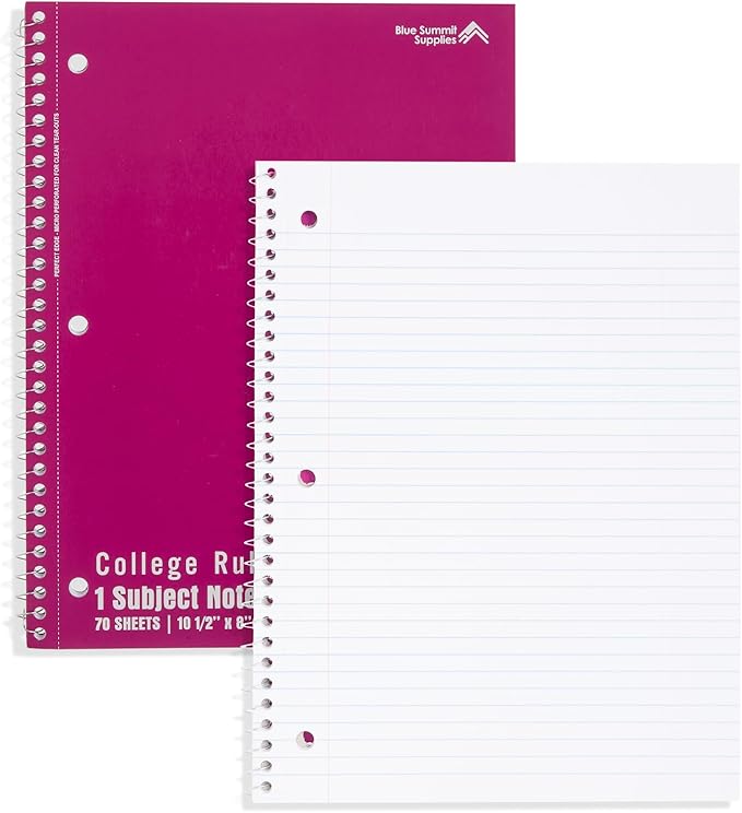 Blue Summit Spiral Notebooks Bulk, One Subject Spiral Notebook College Ruled, Perforated Notebook, 8 x 10.5 for Work and School, Paper, College Ruled, Bulk 24 Pack