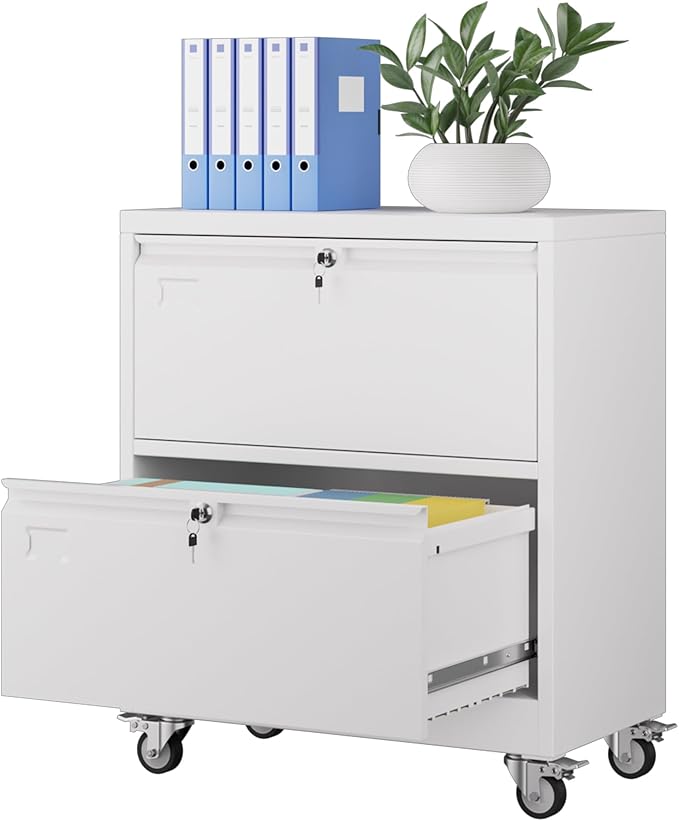 Aobabo Metal 2 Drawer Lateral File Mobile Cabinet with 2 Lock, File Cabinet with Wheels and Adjustable File Bars for Office,Home, for Letter/Legal Size,White, Assembly Required