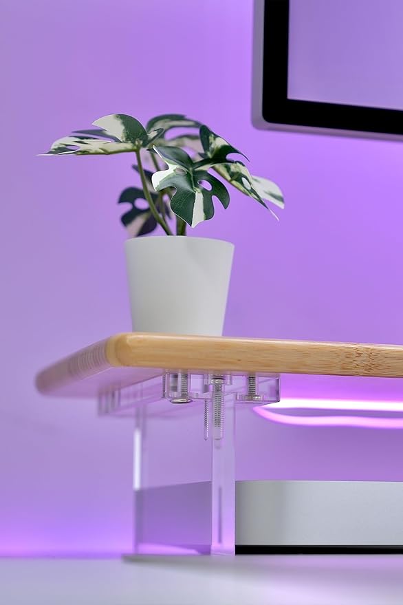 Bamboo Monitor Stand Riser with RGB Lights,31.5 Inches Desktop Shelf with Acrylic Legs Supports for Desk, PC Computer Monitor, Laptops, Printer, Speakers (Natural)