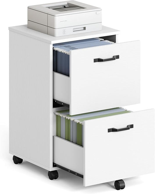 VASAGLE 2-Drawer File Cabinet, Small Rolling Filing Cabinet for Home Office, Printer Stand, for A4, Letter-Size Documents, 15.7 x 16.5 x 27.6 Inches, Snow White UOFC040W46
