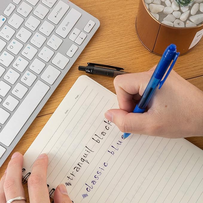 AIHAO Retractable Ballpoint Pens, Blue Ink, 24 Pack – 1.0mm Medium Point, Ultra-Smooth Ink, Comfortable Grip, Ideal for Journaling, Note Taking & Planners