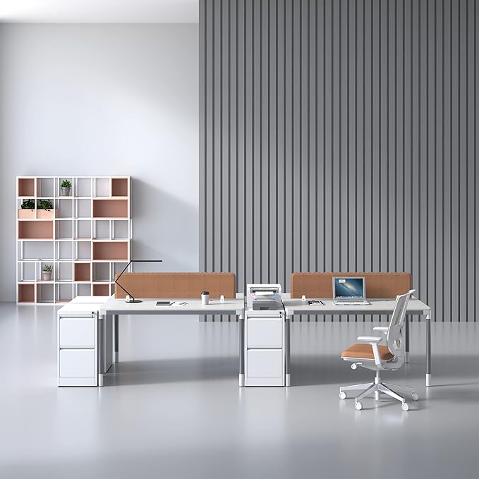 2 Drawer File Cabinet for Home Office, Vertical File Cabinet with Lock, Locking File Cabinet Hanging Files for A4/ Legal/Letter, Require Assembly, White