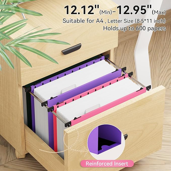 ANSOOK Plastic Hanging File Folders Letter Size, 3 Inch Reinforce Expanding File Folder,12 Pack File Cabinet Folders with Insertable 15 Tabs,Heavy Duty,Accordion File Organizer for Office Home School