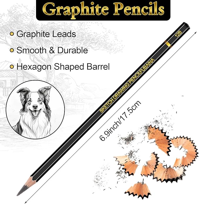 72 Pcs Drawing Sketching Pencil Set Professional (12b - 4h) Graphite Charcoal Gift Bulk for Artists Beginners, Pro Artists, Drawing Art, Sketching