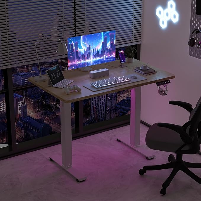 40 * 24 Electric Standing Desk, Adjustable Height Sit Stand Up Desk, Motorized Home Office Computer Gaming Workstation Desk