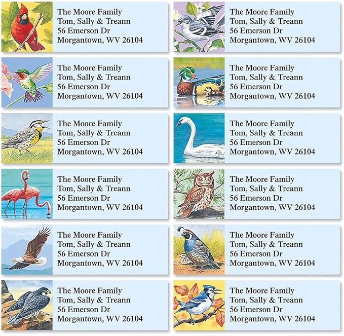 Colorful Images Birds of America Return Address Mailing Labels, Personalize with Name & Addresses, Set of 240 Self Adhesive, Easy Peel Flat Label Sheets, ⅝ inch x 2”, 12 Designs