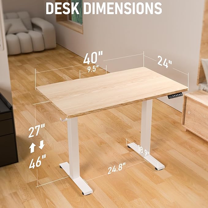 40 * 24 Electric Standing Desk, Adjustable Height Sit Stand Up Desk, Motorized Home Office Computer Gaming Workstation Desk