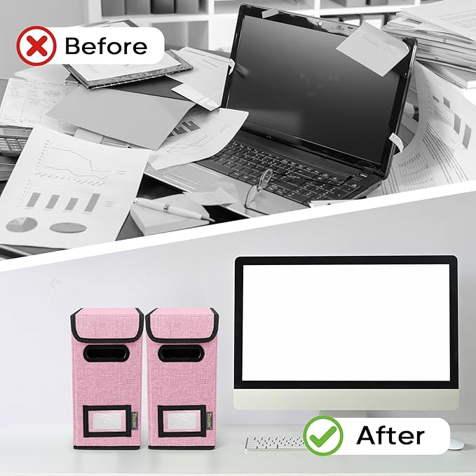 BALEINE File Organizer Box with Lid, Collapsible File Folder Organizer with Plastic Slide, Hanging File Folder Box for Office Document Storage (1 Pack, Pink, S)