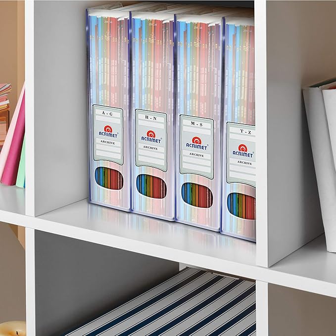 Acrimet Magazine File Holder, Durable Rack, Space-Saving Organizer (Plastic) (Clear Crystal Color) (2 pack)