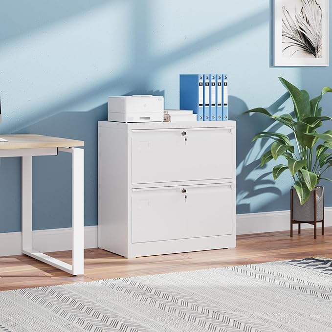 Aobabo 2 Drawer Wide Lateral File Cabinet, Metal Filing Cabinet with Lock, Suitable for Home Office School Hanging Files Letter/Legal/F4/A4 Size,White,Required-Assembly,15.87" D x 28.94" W x 30.24" H