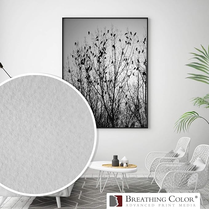 Elegance Velvet 17 in x 40 ft roll is a Premium Matte 310 gsm, Cold Pressed Bright White Museum Grade Fine Art Inkjet Paper, Compatible with Most Dye-Based and Pigment Printers