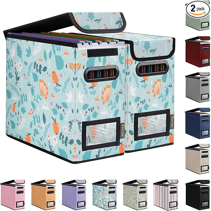 BALEINE File Organizer Box with Lid, Collapsible File Folder Organizer with Plastic Slide, Hanging File Folder Box for Office Document Storage (2 Pack, Spring Stroll, S)