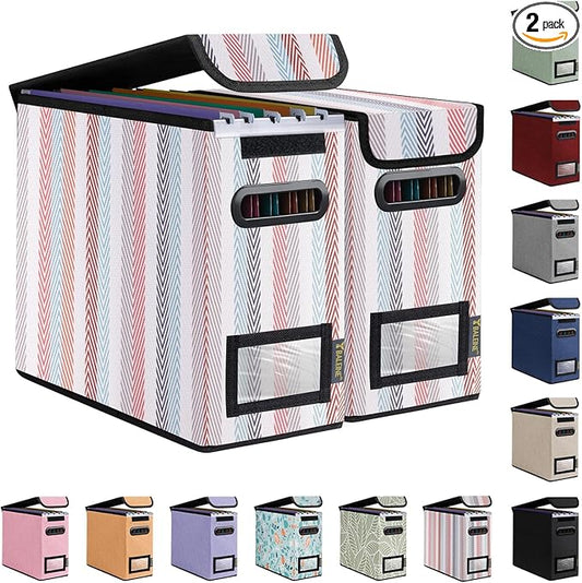 BALEINE File Organizer Box with Lid, Collapsible File Folder Organizer with Plastic Slide, Hanging File Folder Box for Office Document Storage (2 Pack, Color Stripe, S)