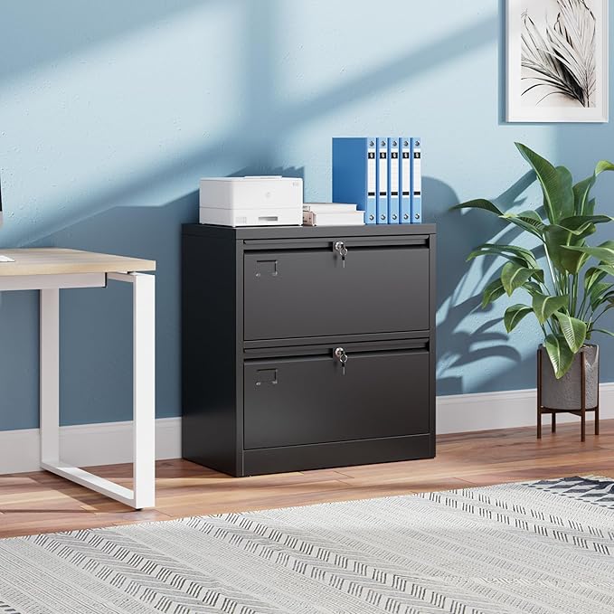 Aobabo 2 Drawer Wide Lateral File Cabinet, Metal Filing Cabinet with Lock, Suitable for Home Office School Hanging Files Letter/Legal/F4/A4 Size,Black,Required-Assembly,15.87" D x 28.94" W x 30.24" H