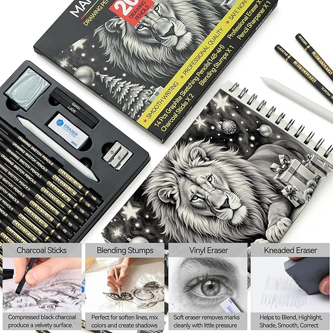 Drawing Sketching Pencil Set, 20 Pieces, Graphite Pencils (14B-4H), Charcoal Sticks, Stump, Eraser, Sharpeners, Ideal for Drawing Art, Sketching, Artist Pencils for Beginners & Pro Artists